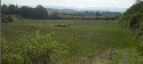 Grundstück in Terranuova Bracciolini, Italy 100143m², Nr. 306810 2