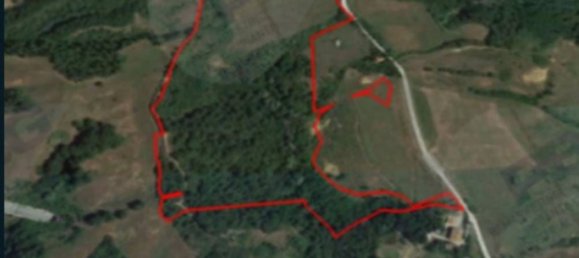 Grundstück in Terranuova Bracciolini, Italy 100143m², Nr. 306810 4