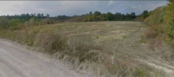 Grundstück in Terranuova Bracciolini, Italy 100143m², Nr. 306810 5