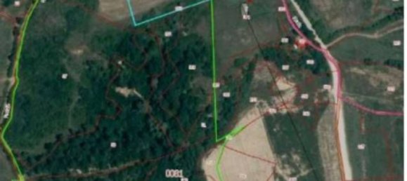 Grundstück in Terranuova Bracciolini, Italy 100143m², Nr. 306810 6