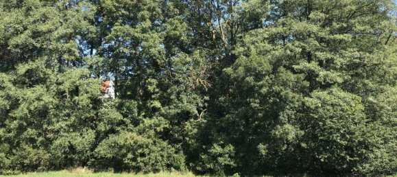 4 rooms Land in Wienerwald, Austria No. 41580 8