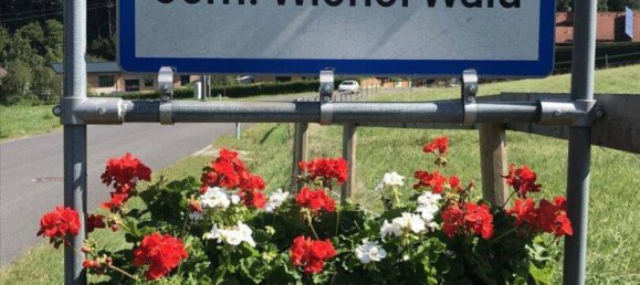 4 rooms Land in Wienerwald, Austria No. 41580 9