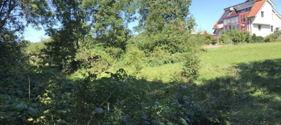 4 rooms Land in Wienerwald, Austria No. 41580 6