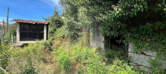 1 Schlafzimmer Haus in Sao Pedro do Sul, Portugal, Nr. 170466 3