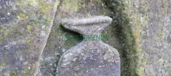 8 bedrooms Castles in A Caniza, Spain No. 139711 26