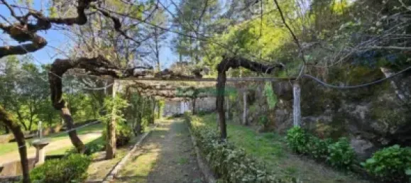 8 bedrooms Castles in A Caniza, Spain No. 139711 24