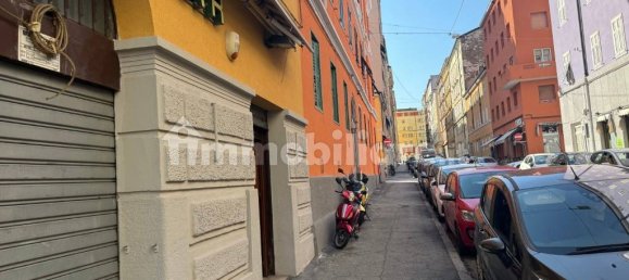 3-Zimmer Gewerbliche Immobilie in Trieste, Italy, Nr. 296299 19