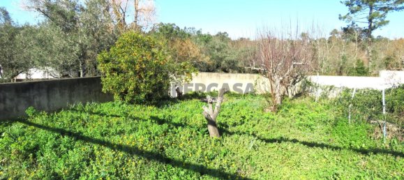 4 chambres Maison à Miranda do Corvo, Portugal No. 152930 8