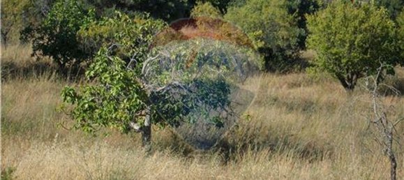  قطعة أرض في Loule, Portugal 60متر مربع رقم 43898 9