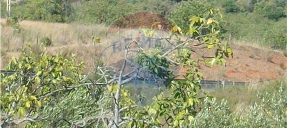  قطعة أرض في Loule, Portugal 60متر مربع رقم 43898 6