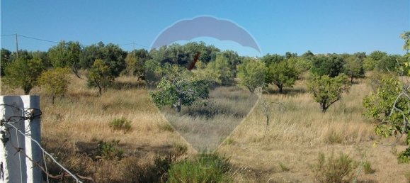  قطعة أرض في Loule, Portugal 60متر مربع رقم 43898 8