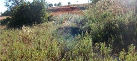  قطعة أرض في Loule, Portugal 60متر مربع رقم 43898 4