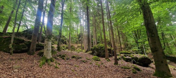 Terrain à Cham, Germany No. 262756 2