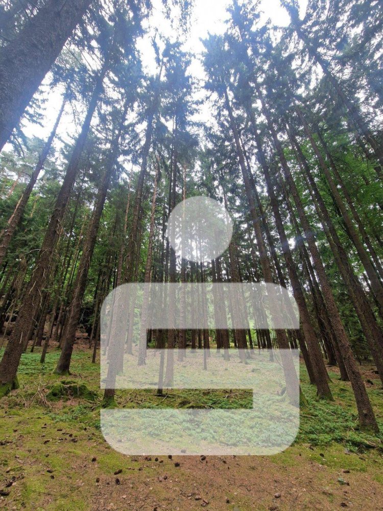 Terrain à Cham, Germany No. 262756