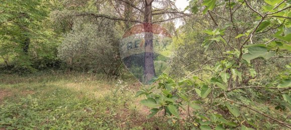 5 rooms House in Serra San Quirico, Italy No. 8033 21