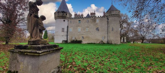  Castillos de 26 dormitorios en Grossouvre, France No. 66918 3