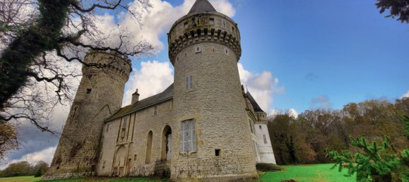  Castillos de 26 dormitorios en Grossouvre, France No. 66918 2