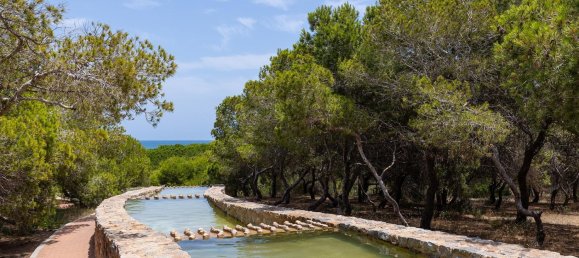 2 Schlafzimmer Bungalow in Torrevieja, Spain, Nr. 150651 63