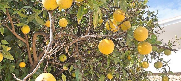 5 bedrooms Villa in L'Alfàs del Pi, Spain No. 4505 4