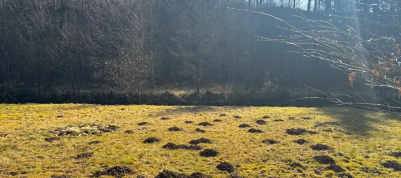 Moradia em banda T4 em Oberbergischer, Germany N.º 209867 19