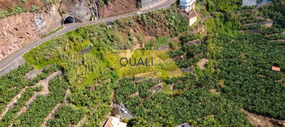 Terreno en Calheta, Portugal No. 140222 9