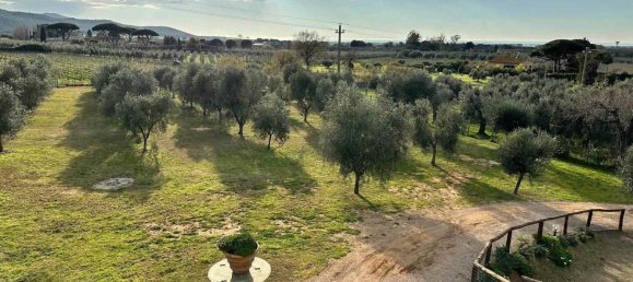 9 غرف نوم منزل في Follonica, Italy رقم 116607 34