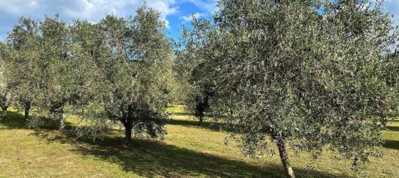 9 غرف نوم منزل في Follonica, Italy رقم 116607 23