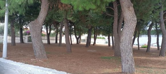 4-Zimmer Doppelhaus in Ostuni, Italy, Nr. 145334 5