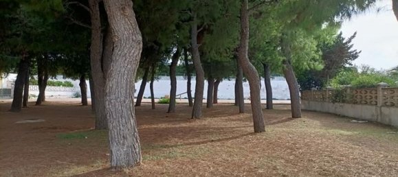 4-Zimmer Doppelhaus in Ostuni, Italy, Nr. 145334 6