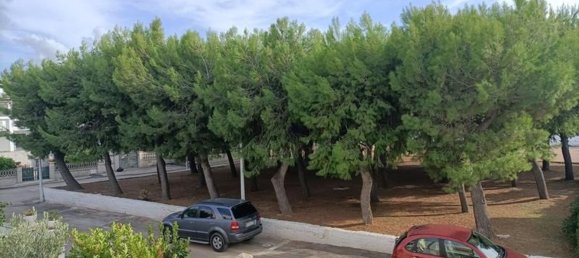 4-Zimmer Doppelhaus in Ostuni, Italy, Nr. 145334 38