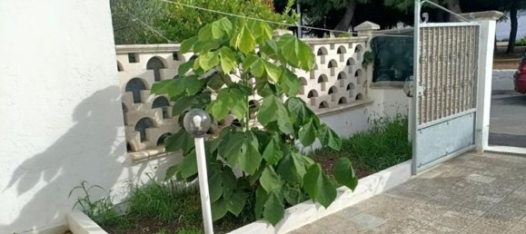 4-Zimmer Doppelhaus in Ostuni, Italy, Nr. 145334 8