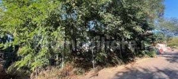 Grundstück in Scano di Montiferro, Italy 300m², Nr. 69522 8