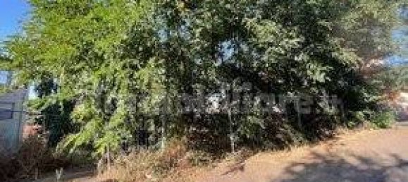 Grundstück in Scano di Montiferro, Italy 300m², Nr. 69522 7