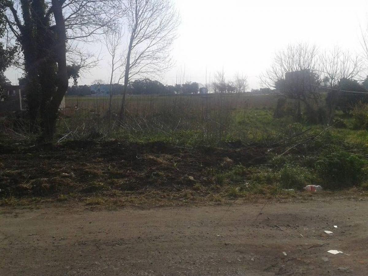  قطعة أرض في Mar del Plata, Argentina رقم 118021