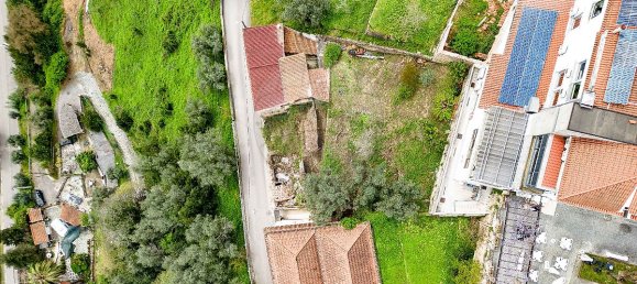 4 bedrooms House in Penacova, Portugal No. 28529 10