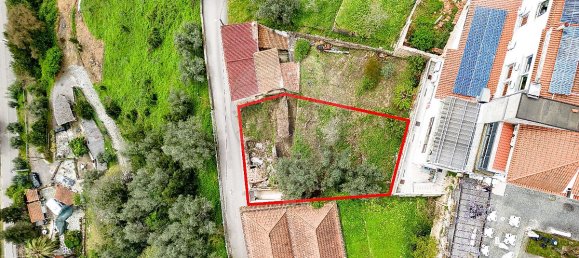 4 bedrooms House in Penacova, Portugal No. 28529 3