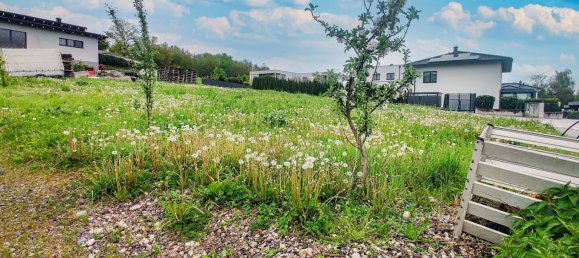 623m² Land in Wallern an der Trattnach, Austria No. 144760 5