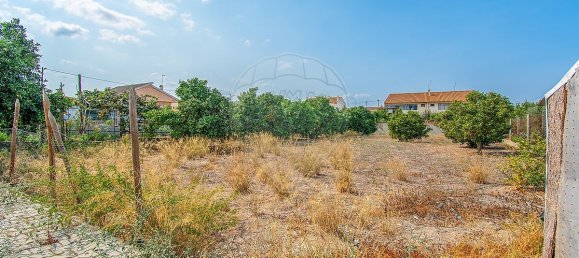 9 bedrooms House in Benfica do Ribatejo, Portugal No. 57661 22