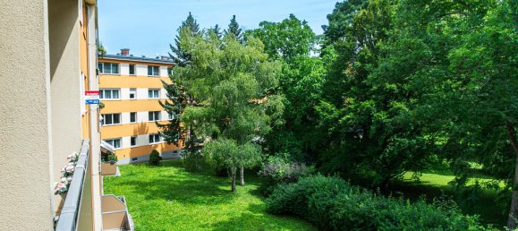 4 bedrooms Apartment in Bad Voslau, Austria No. 127730 12