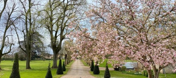 6 bedrooms Castles in Macon, France No. 352183 3