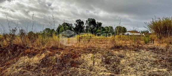 954m² Land in Santarem, Portugal No. 9466 5