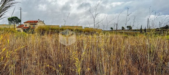 954m² Land in Santarem, Portugal No. 9466 15