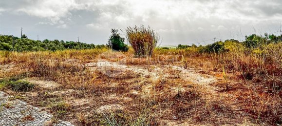 954m² Land in Santarem, Portugal No. 9466 30