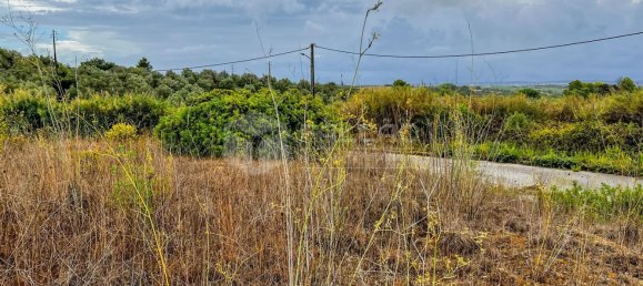 954m² Land in Santarem, Portugal No. 9466 50