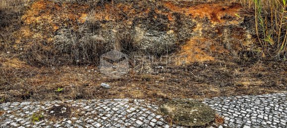 954m² Land in Santarem, Portugal No. 9466 26