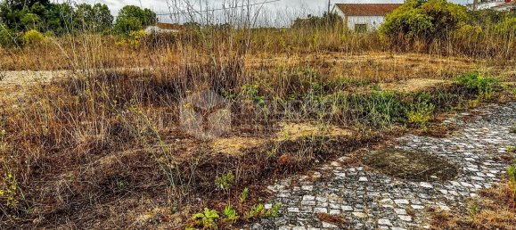 954m² Land in Santarem, Portugal No. 9466 46