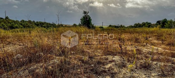 954m² Land in Santarem, Portugal No. 9466 6