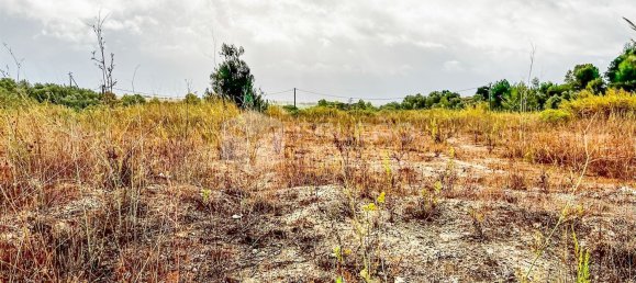 954m² Land in Santarem, Portugal No. 9466 34