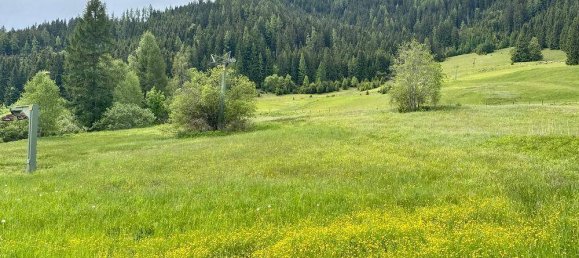 9 rooms House in Gnesau, Austria No. 134467 8