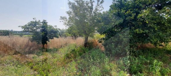 4 rooms Villa in Locorotondo, Italy No. 24753 11